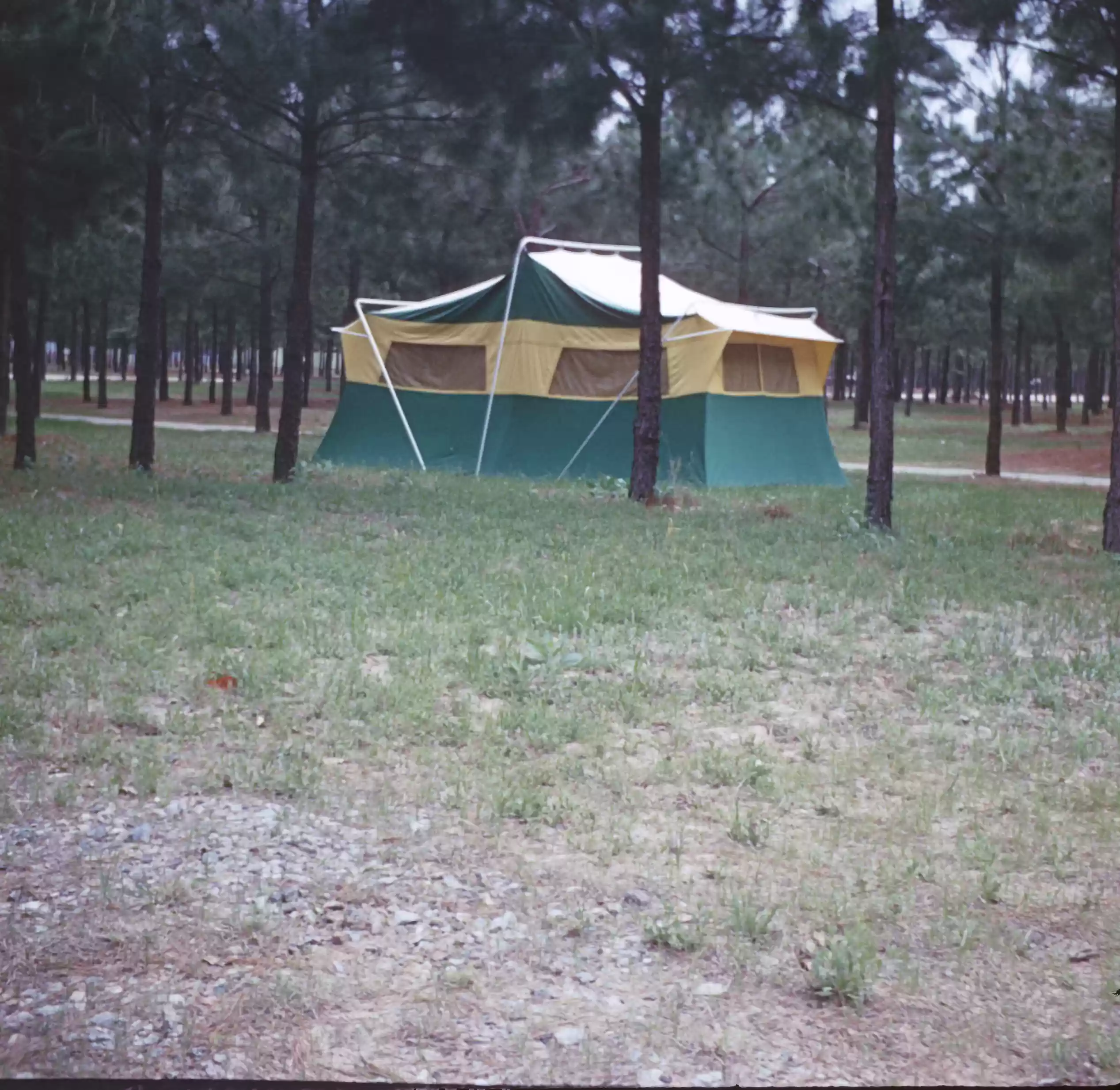 CAMPING IN THE PINEY WOODS snuffer117_casea2_014